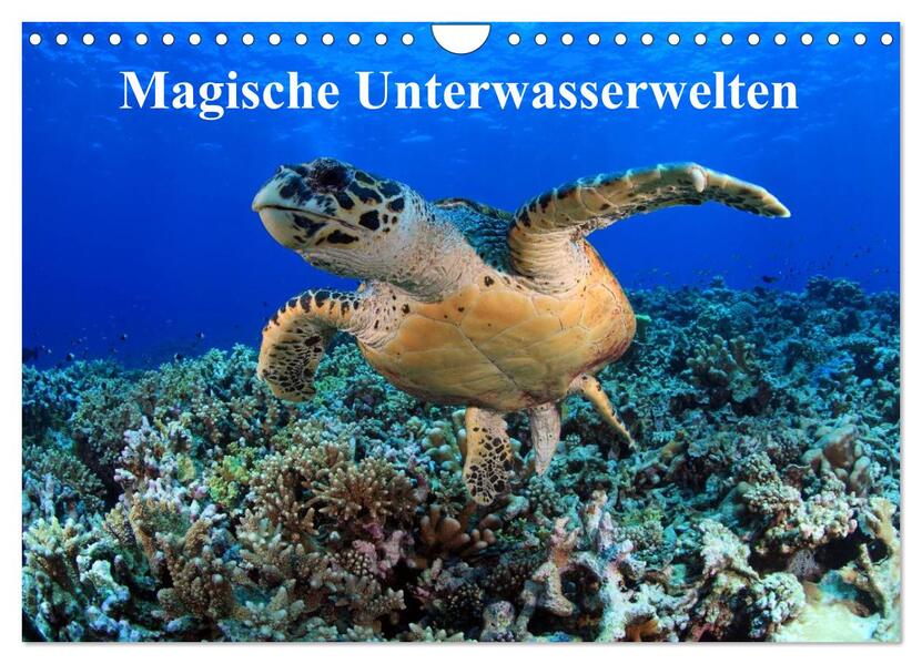 Magische Unterwasserwelten (Wandkalender 2026 DIN A4 quer) CALVENDO Monatskalender