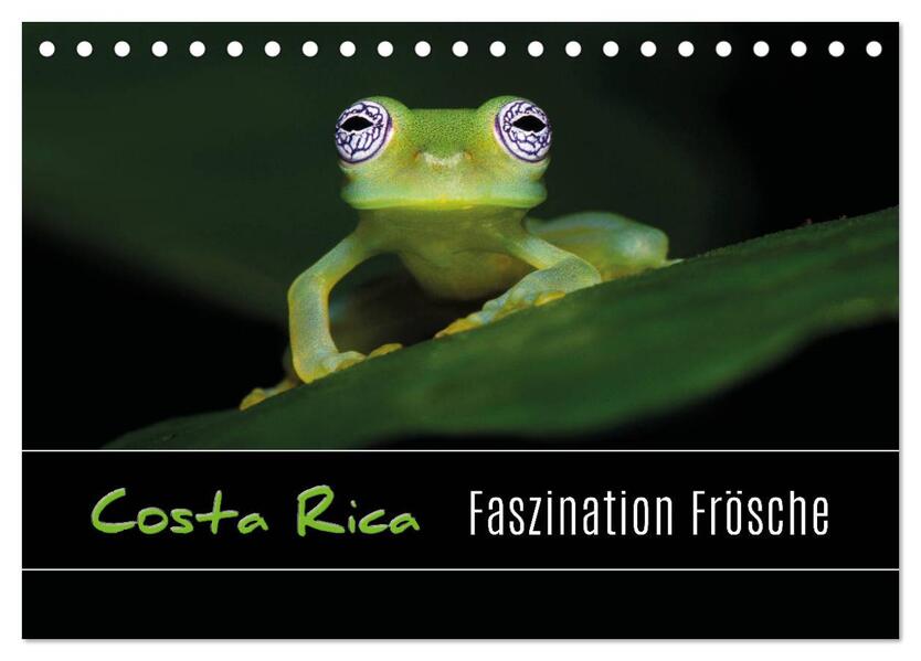 Costa Rica - Faszination Frösche (Tischkalender 2026 DIN A5 quer) CALVENDO Monatskalender