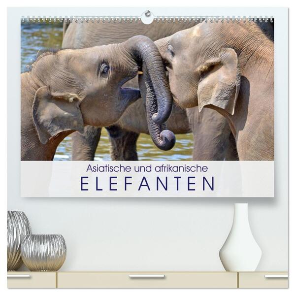 Asiatische und afrikanische Elefanten (hochwertiger Premium Wandkalender 2026 DIN A2 quer) Kunstdruck in Hochglanz