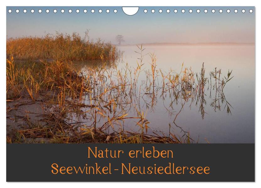Natur erleben Seewinkel-Neusiedlersee (Wandkalender 2026 DIN A4 quer) CALVENDO Monatskalender