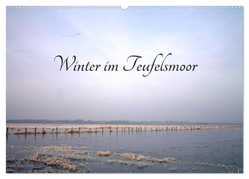 Winter im Teufelsmoor (Wandkalender 2026 DIN A2 quer) CALVENDO Monatskalender