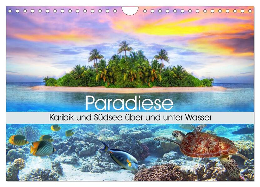 Paradiese. Karibik und Südsee über und unter Wasser (Wandkalender 2026 DIN A4 quer) CALVENDO Monatskalender