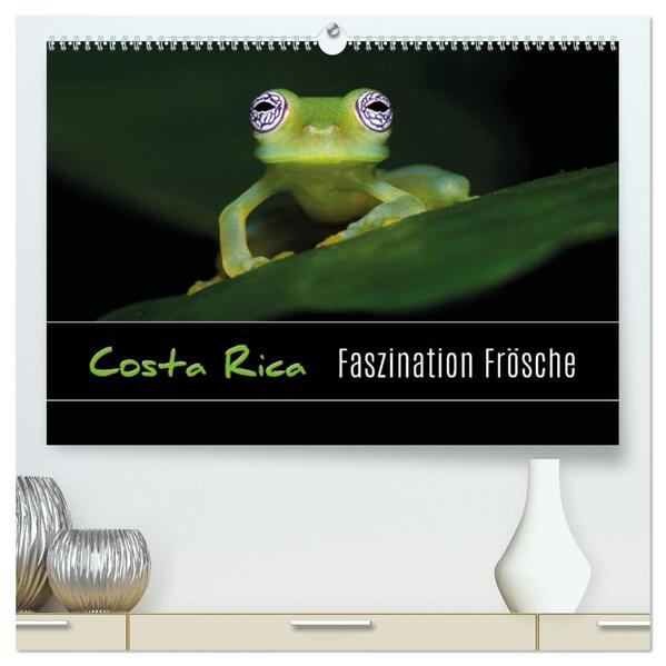 Costa Rica - Faszination Frösche (hochwertiger Premium Wandkalender 2026 DIN A2 quer) Kunstdruck in Hochglanz