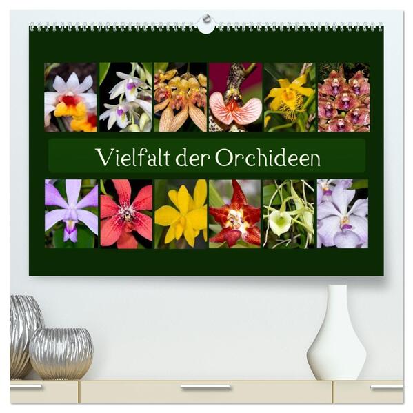 Vielfalt der Orchideen (hochwertiger Premium Wandkalender 2026 DIN A2 quer) Kunstdruck in Hochglanz