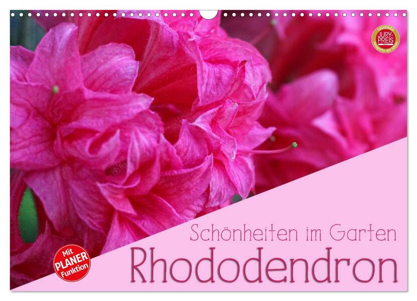 Rhododendron Schönheiten im Garten (Wandkalender 2026 DIN A3 quer) CALVENDO Monatskalender