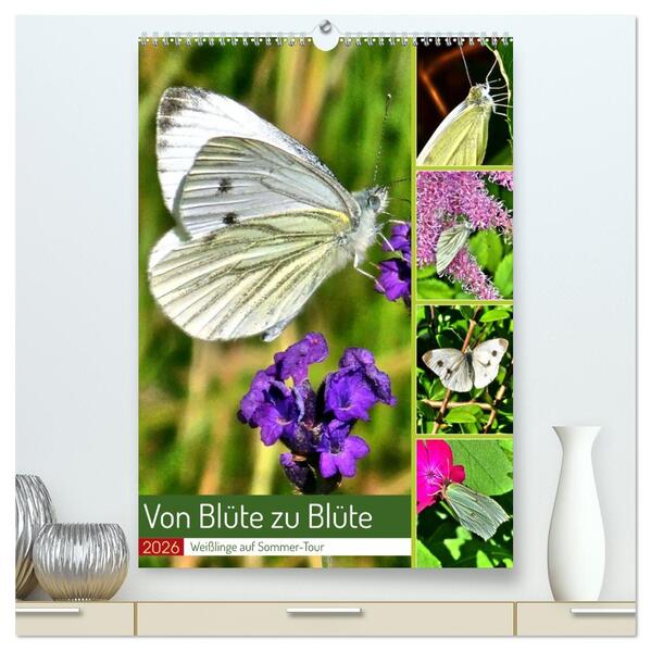 Von Blüte zu Blüte - Weißlinge auf Sommer-Tour (hochwertiger Premium Wandkalender 2026 DIN A2 hoch) Kunstdruck in Hochglanz
