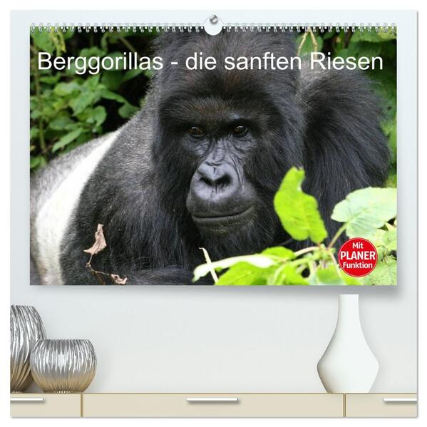 Berggorillas - die sanften Riesen (hochwertiger Premium Wandkalender 2026 DIN A2 quer) Kunstdruck in Hochglanz