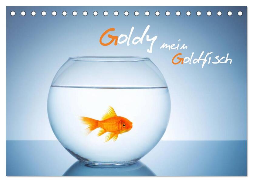 Goldy - mein Goldfisch (Tischkalender 2026 DIN A5 quer) CALVENDO Monatskalender
