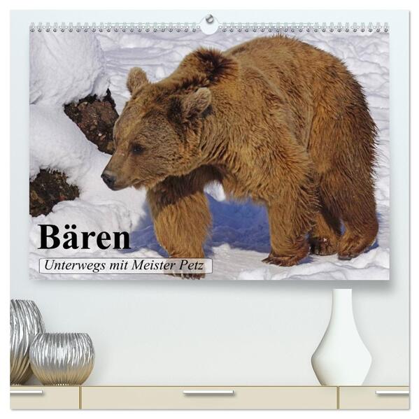 Bären. Unterwegs mit Meister Petz (hochwertiger Premium Wandkalender 2026 DIN A2 quer) Kunstdruck in Hochglanz