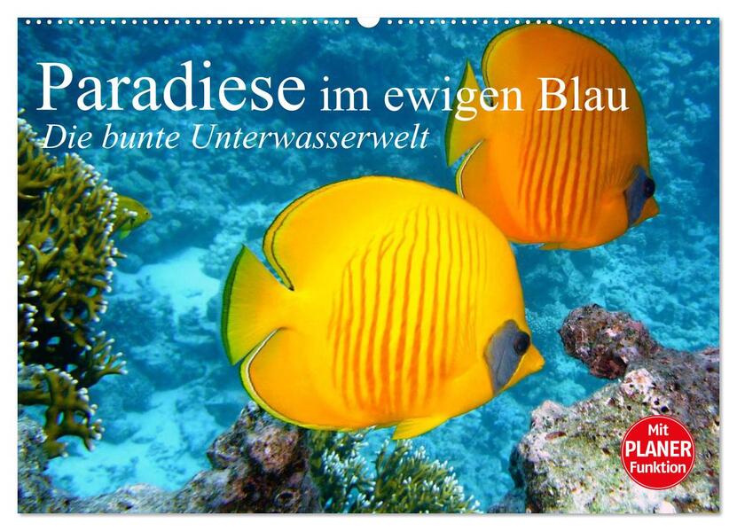 Paradiese im ewigen Blau. Die bunte Unterwasserwelt (Wandkalender 2026 DIN A2 quer) CALVENDO Monatskalender