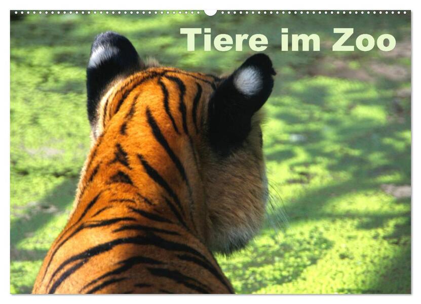 Tiere im Zoo (Wandkalender 2026 DIN A2 quer) CALVENDO Monatskalender