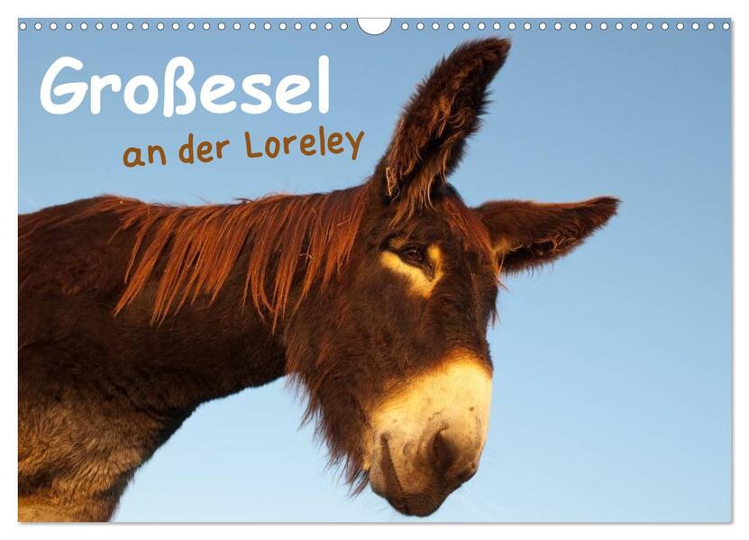 Großesel an der Loreley (Wandkalender 2026 DIN A3 quer) CALVENDO Monatskalender