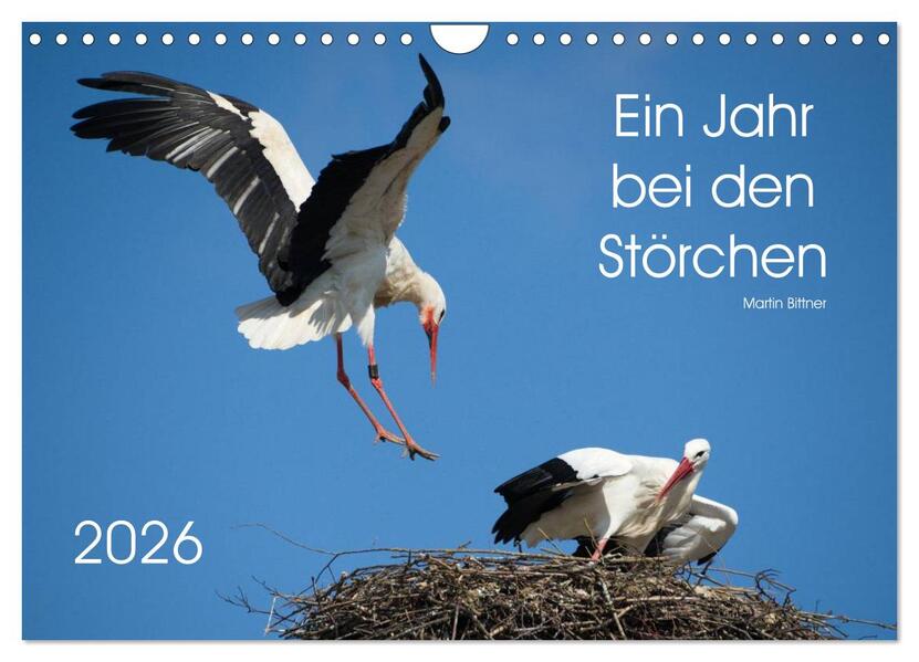 Ein Jahr bei den Störchen (Wandkalender 2026 DIN A4 quer) CALVENDO Monatskalender