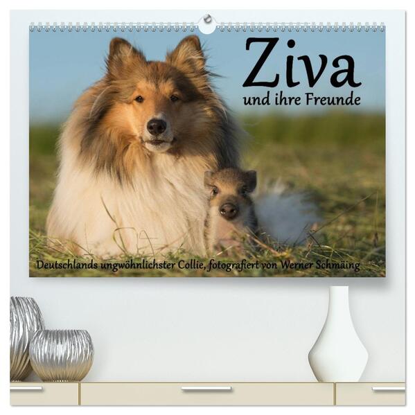 Ziva und ihre Freunde (hochwertiger Premium Wandkalender 2026 DIN A2 quer) Kunstdruck in Hochglanz