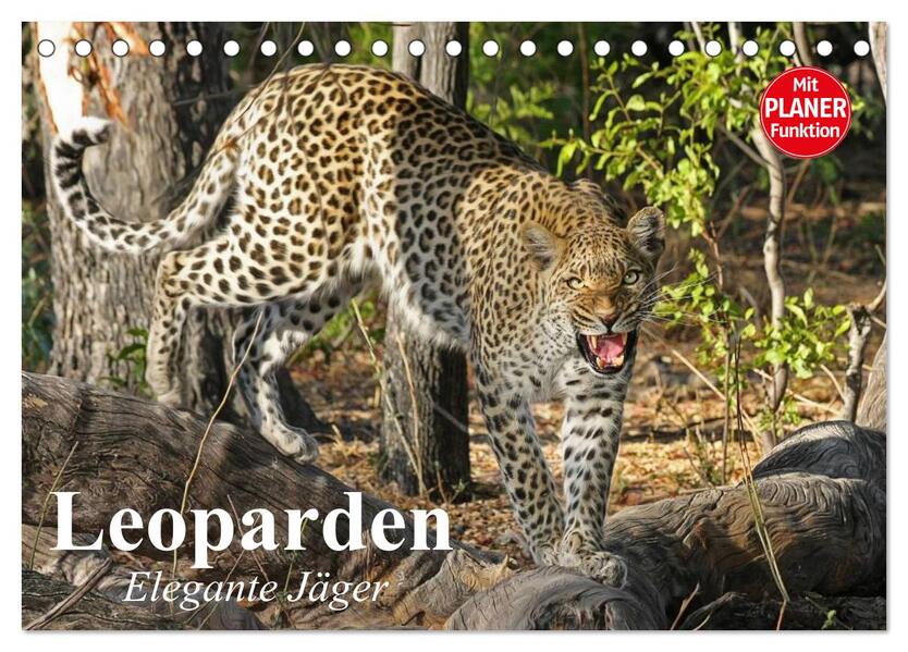 Leoparden. Elegante Jäger (Tischkalender 2026 DIN A5 quer) CALVENDO Monatskalender