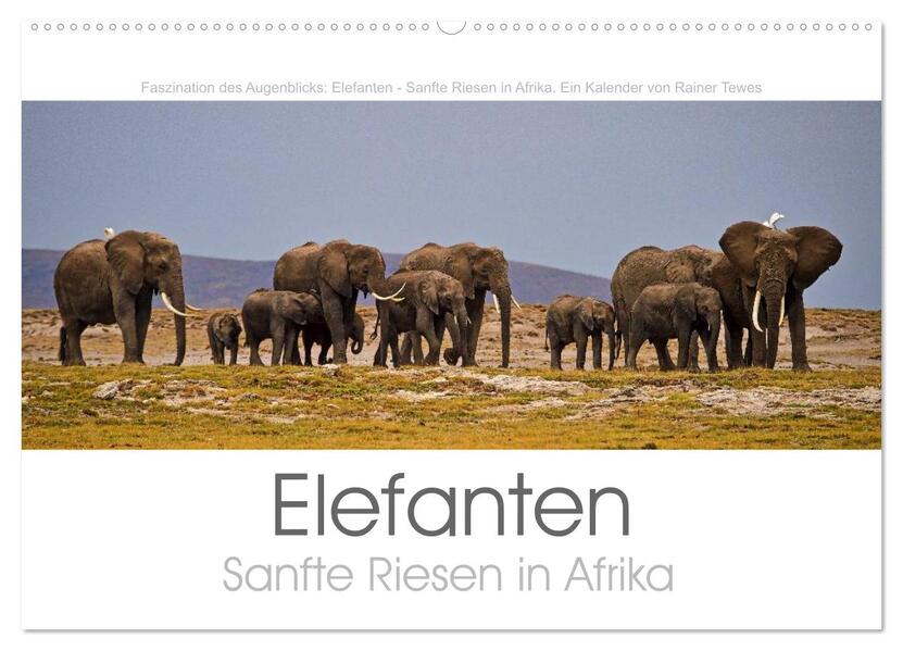 Elefanten - Sanfte Riesen in Afrika (Wandkalender 2026 DIN A2 quer) CALVENDO Monatskalender