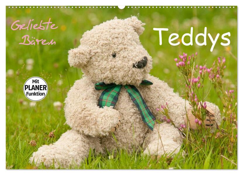 Geliebte Bären - Teddys (Wandkalender 2026 DIN A2 quer) CALVENDO Monatskalender