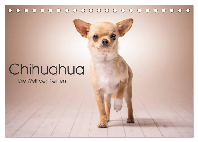 Chihuahua - Die Welt der Kleinen (Tischkalender 2026 DIN A5 quer) CALVENDO Monatskalender