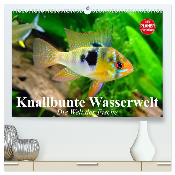 Knallbunte Wasserwelt. Die Welt der Fische (hochwertiger Premium Wandkalender 2026 DIN A2 quer) Kunstdruck in Hochglanz