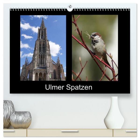 Ulmer Spatzen (hochwertiger Premium Wandkalender 2026 DIN A2 quer) Kunstdruck in Hochglanz