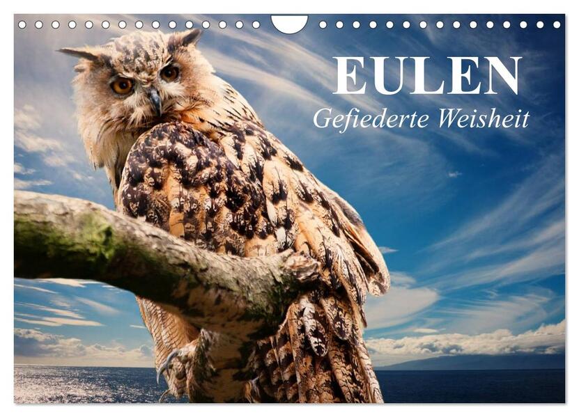 Eulen. Gefiederte Weisheit (Wandkalender 2026 DIN A4 quer) CALVENDO Monatskalender