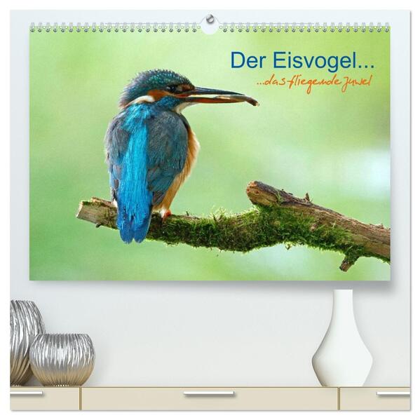 Der Eisvogel...fliegendes Juwel (hochwertiger Premium Wandkalender 2026 DIN A2 quer) Kunstdruck in Hochglanz