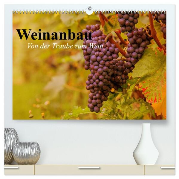 Weinanbau. Von der Traube zum Wein (hochwertiger Premium Wandkalender 2026 DIN A2 quer) Kunstdruck in Hochglanz