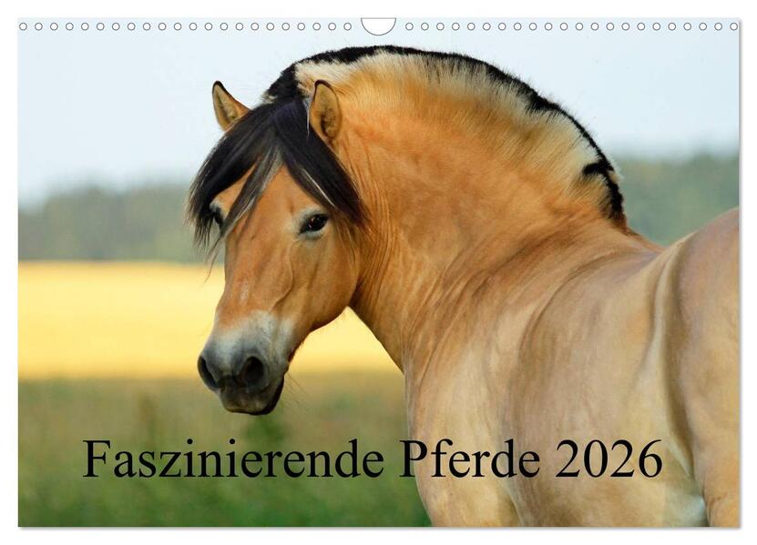 Faszinierende Pferde 2026 (Wandkalender 2026 DIN A3 quer) CALVENDO Monatskalender