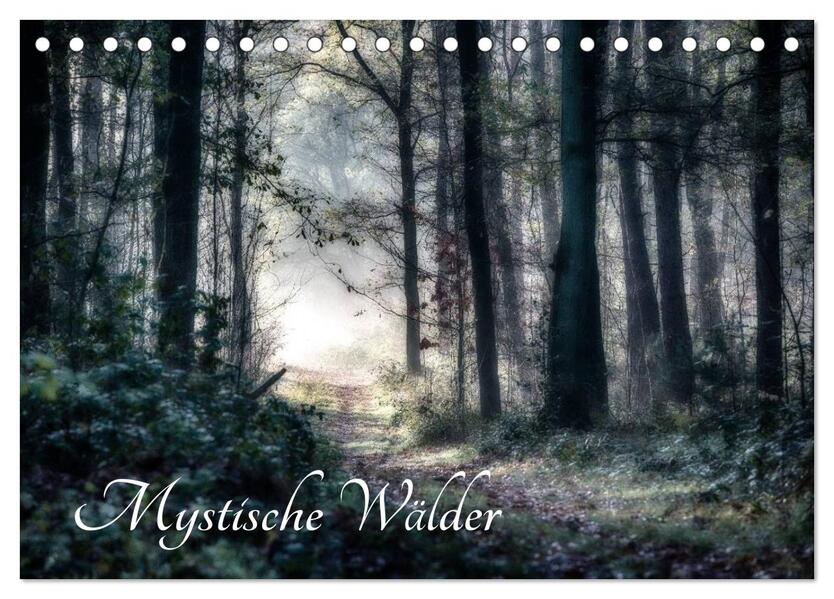 Mystische Wälder (Tischkalender 2026 DIN A5 quer) CALVENDO Monatskalender