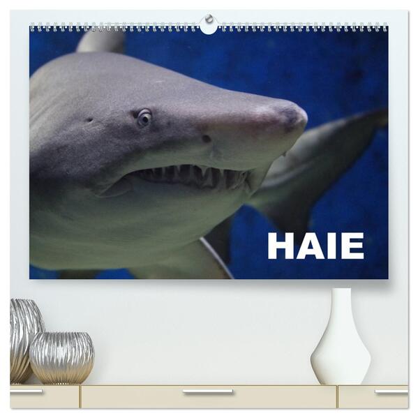 Haie (hochwertiger Premium Wandkalender 2026 DIN A2 quer) Kunstdruck in Hochglanz
