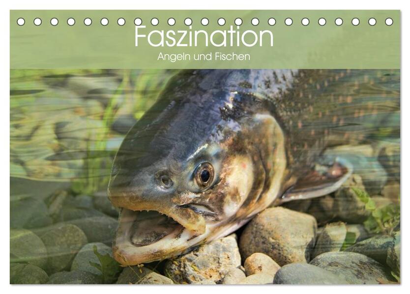 Faszination Angeln und Fischen (Tischkalender 2026 DIN A5 quer) CALVENDO Monatskalender