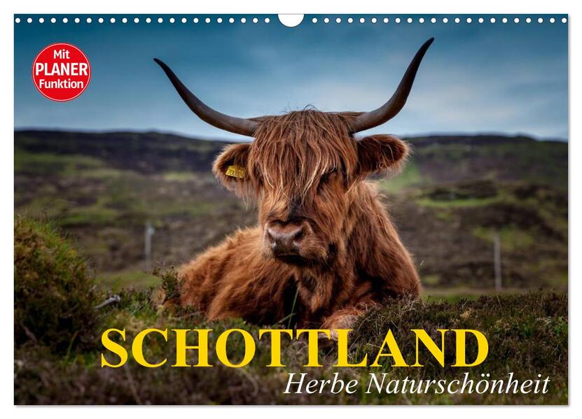 Schottland. Herbe Naturschönheit (Wandkalender 2026 DIN A3 quer) CALVENDO Monatskalender