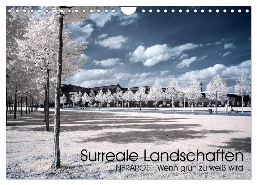 Surreale Landschaften. INFRARROT - Wenn grün zu weiß wird (Wandkalender 2026 DIN A4 quer) CALVENDO Monatskalender