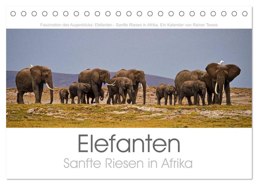 Elefanten - Sanfte Riesen in Afrika (Tischkalender 2026 DIN A5 quer) CALVENDO Monatskalender