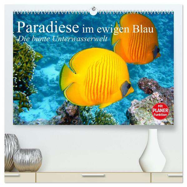Paradiese im ewigen Blau. Die bunte Unterwasserwelt (hochwertiger Premium Wandkalender 2026 DIN A2 quer) Kunstdruck in Hochglanz