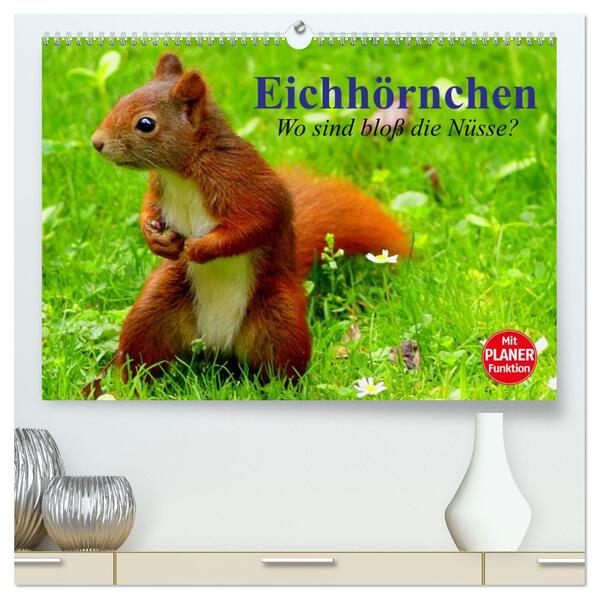 Eichhörnchen. Wo sind bloß die Nüsse? (hochwertiger Premium Wandkalender 2026 DIN A2 quer) Kunstdruck in Hochglanz