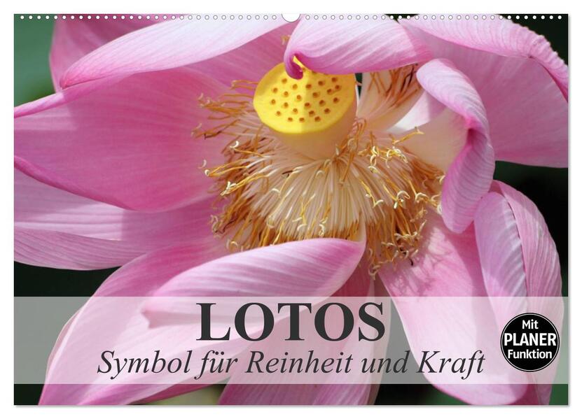 Lotos. Symbol für Reinheit und Kraft (Wandkalender 2026 DIN A2 quer) CALVENDO Monatskalender