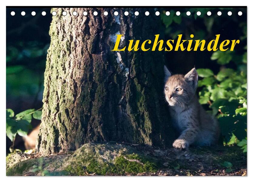 Luchskinder (Tischkalender 2026 DIN A5 quer) CALVENDO Monatskalender