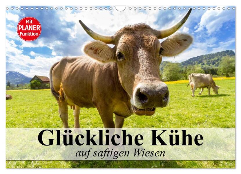 Glückliche Kühe auf saftigen Wiesen (Wandkalender 2026 DIN A3 quer) CALVENDO Monatskalender