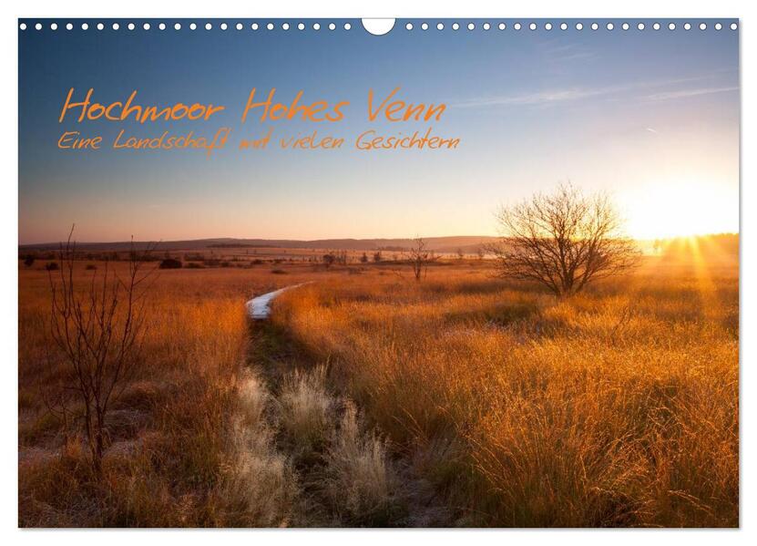 Hochmoor Hohes Venn (Wandkalender 2026 DIN A3 quer) CALVENDO Monatskalender