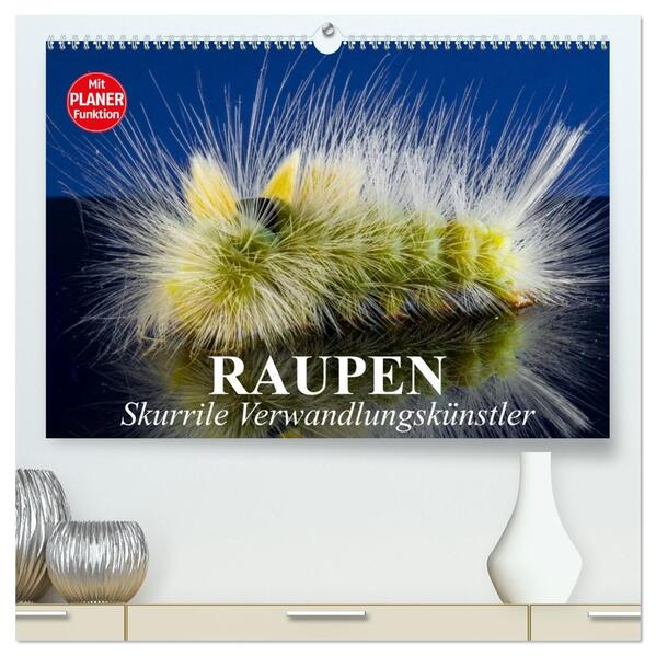Raupen. Skurrile Verwandlungskünstler (hochwertiger Premium Wandkalender 2026 DIN A2 quer) Kunstdruck in Hochglanz