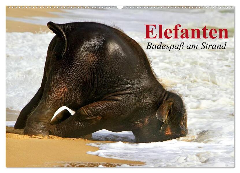 Elefanten. Badespaß am Strand (Wandkalender 2026 DIN A2 quer) CALVENDO Monatskalender