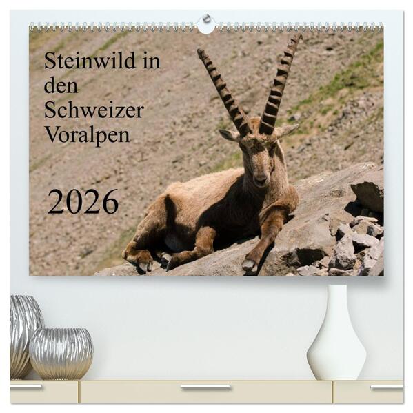 Steinwild in den Schweizer Voralpen (hochwertiger Premium Wandkalender 2026 DIN A2 quer) Kunstdruck in Hochglanz
