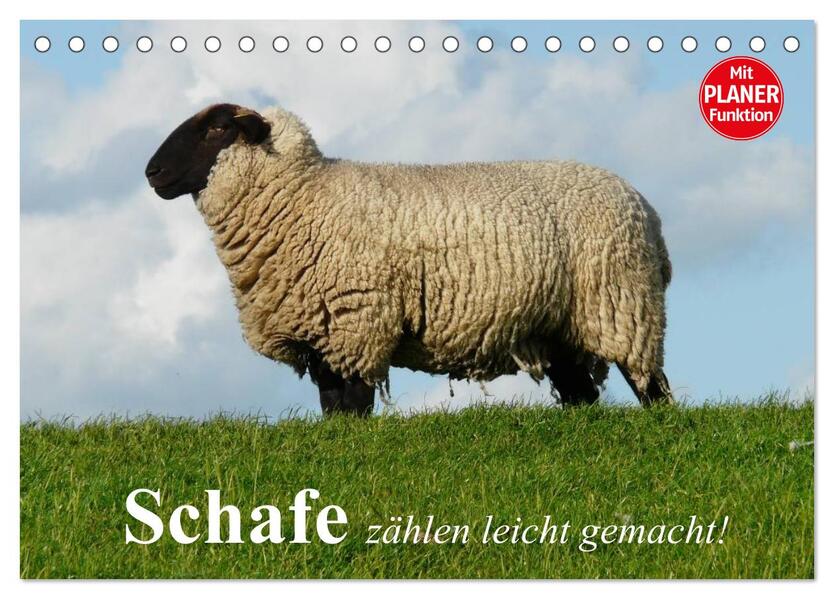 Schafe zählen leicht gemacht! (Tischkalender 2026 DIN A5 quer) CALVENDO Monatskalender