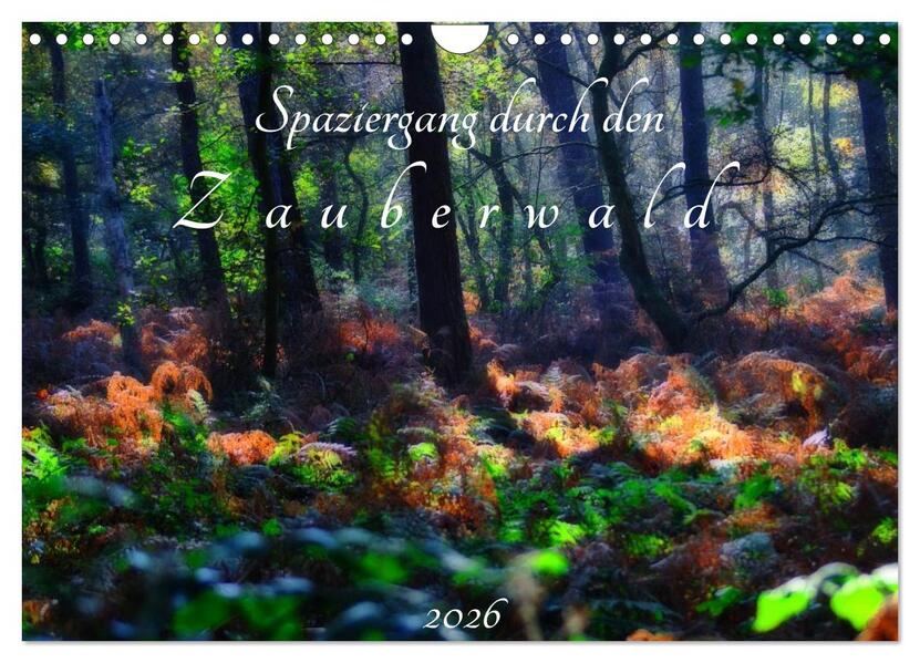 Spaziergang durch den Zauberwald (Wandkalender 2026 DIN A4 quer) CALVENDO Monatskalender