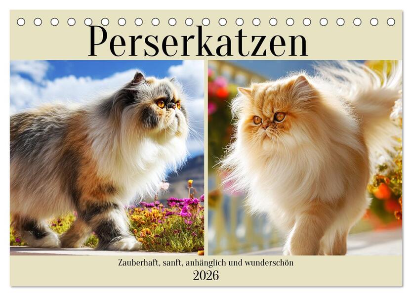 Perserkatzen. Zauberhaft sanft anhänglich und wunderschön (Tischkalender 2026 DIN A5 quer) CALVENDO Monatskalender