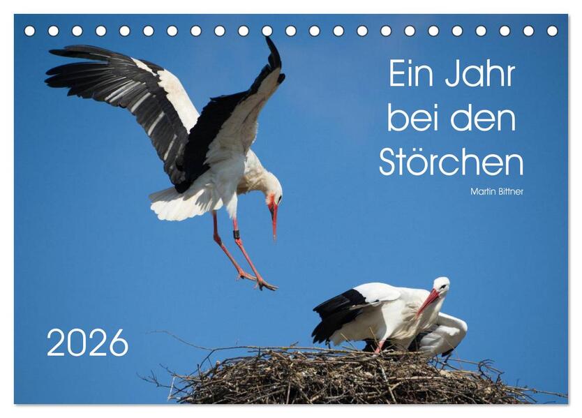 Ein Jahr bei den Störchen (Tischkalender 2026 DIN A5 quer) CALVENDO Monatskalender