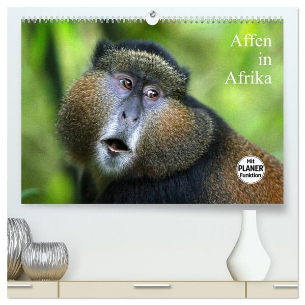 Affen in Afrika (hochwertiger Premium Wandkalender 2026 DIN A2 quer) Kunstdruck in Hochglanz