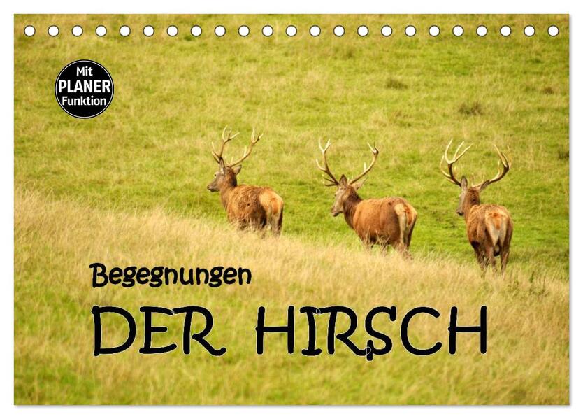Begegnungen. DER HIRSCH (Tischkalender 2026 DIN A5 quer) CALVENDO Monatskalender