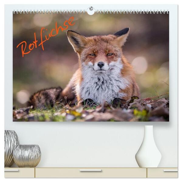 Rotfüchse (hochwertiger Premium Wandkalender 2026 DIN A2 quer) Kunstdruck in Hochglanz